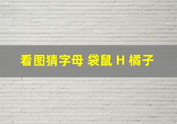 看图猜字母 袋鼠 H 橘子