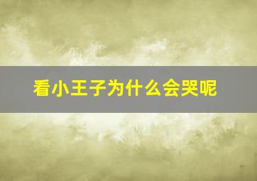 看小王子为什么会哭呢