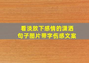 看淡放下感情的潇洒句子图片带字伤感文案