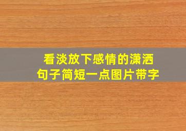 看淡放下感情的潇洒句子简短一点图片带字