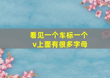 看见一个车标一个v上面有很多字母