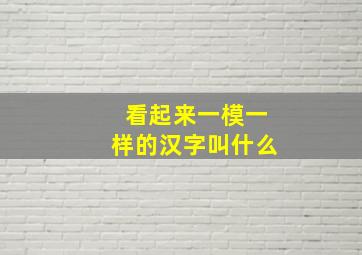 看起来一模一样的汉字叫什么