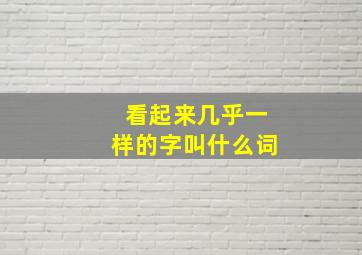 看起来几乎一样的字叫什么词