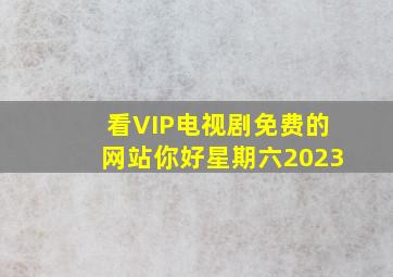 看VIP电视剧免费的网站你好星期六2023