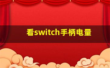 看switch手柄电量