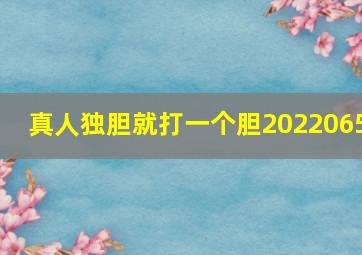 真人独胆就打一个胆2022065