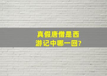 真假唐僧是西游记中哪一回?