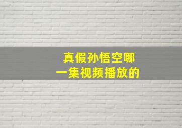 真假孙悟空哪一集视频播放的