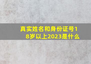 真实姓名和身份证号18岁以上2023是什么