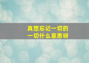 真想忘记一切的一切什么意思呀