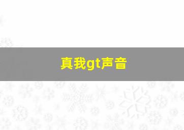 真我gt声音