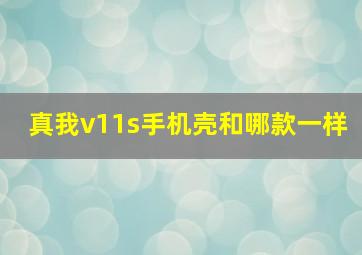 真我v11s手机壳和哪款一样