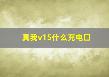 真我v15什么充电口