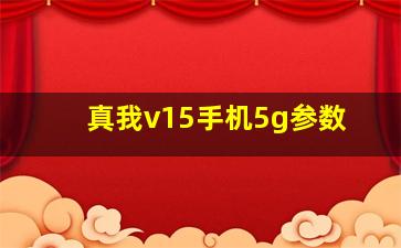 真我v15手机5g参数