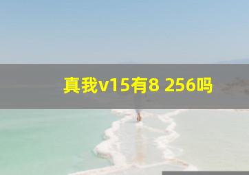 真我v15有8+256吗