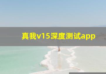 真我v15深度测试app