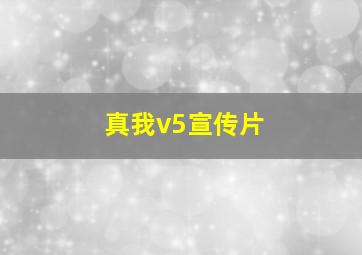 真我v5宣传片