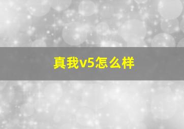 真我v5怎么样