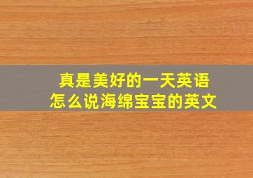 真是美好的一天英语怎么说海绵宝宝的英文