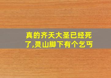 真的齐天大圣已经死了,灵山脚下有个乞丐