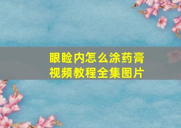 眼睑内怎么涂药膏视频教程全集图片