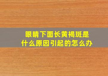 眼睛下面长黄褐斑是什么原因引起的怎么办