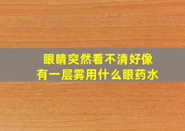 眼睛突然看不清好像有一层雾用什么眼药水