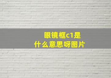 眼镜框c1是什么意思呀图片