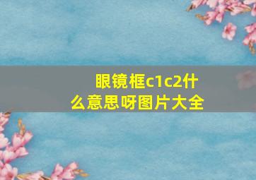 眼镜框c1c2什么意思呀图片大全