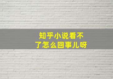 知乎小说看不了怎么回事儿呀