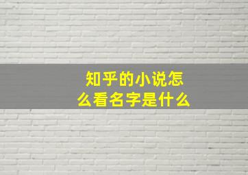 知乎的小说怎么看名字是什么