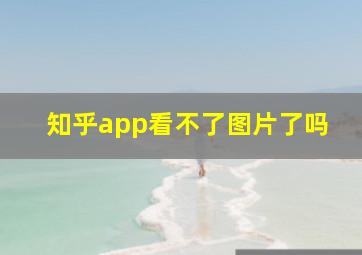 知乎app看不了图片了吗