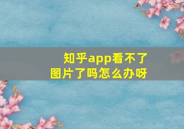 知乎app看不了图片了吗怎么办呀