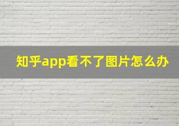 知乎app看不了图片怎么办