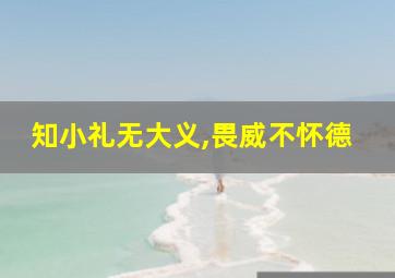 知小礼无大义,畏威不怀德