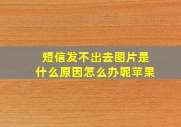 短信发不出去图片是什么原因怎么办呢苹果