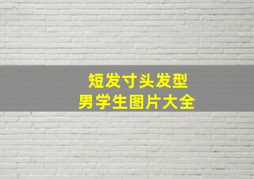 短发寸头发型男学生图片大全