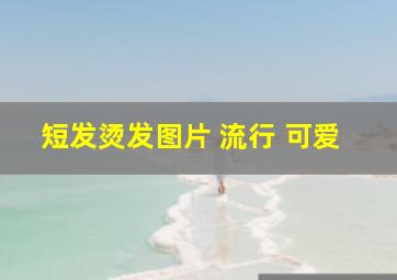 短发烫发图片 流行 可爱