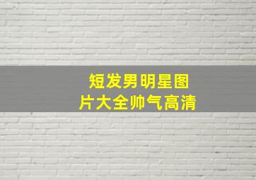 短发男明星图片大全帅气高清