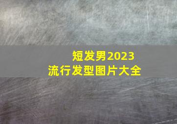 短发男2023流行发型图片大全