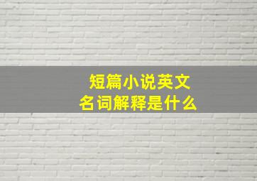 短篇小说英文名词解释是什么