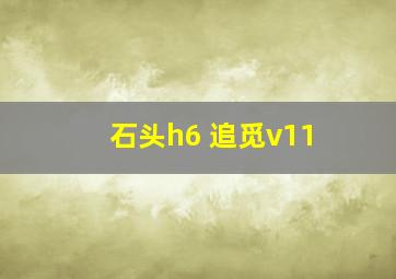 石头h6 追觅v11