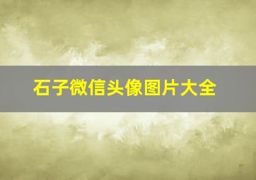 石子微信头像图片大全