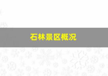 石林景区概况