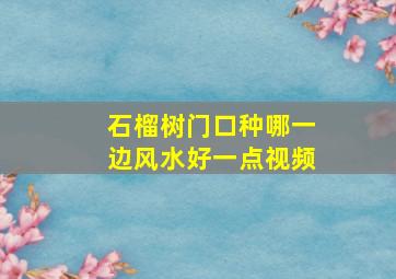 石榴树门口种哪一边风水好一点视频