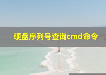 硬盘序列号查询cmd命令