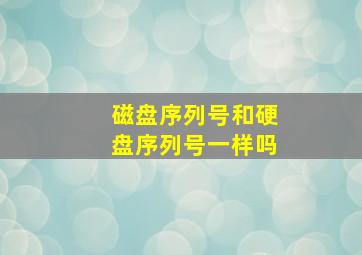 磁盘序列号和硬盘序列号一样吗