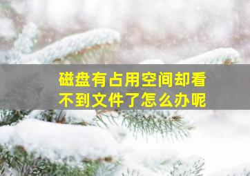 磁盘有占用空间却看不到文件了怎么办呢