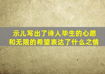 示儿写出了诗人毕生的心愿和无限的希望表达了什么之情