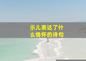 示儿表达了什么情怀的诗句